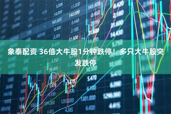 象泰配资 36倍大牛股1分钟跌停！多只大牛股突发跌停