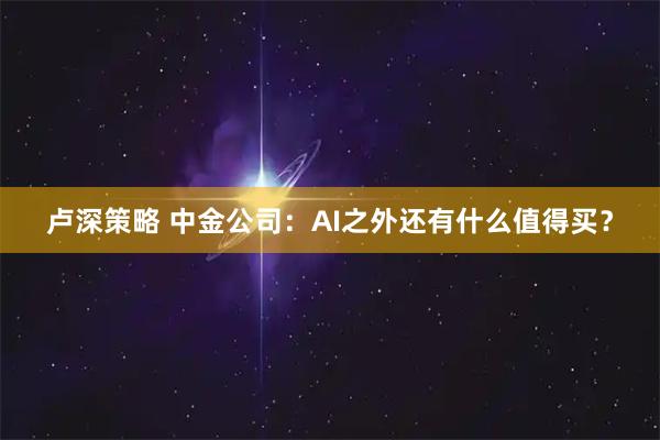 卢深策略 中金公司：AI之外还有什么值得买？